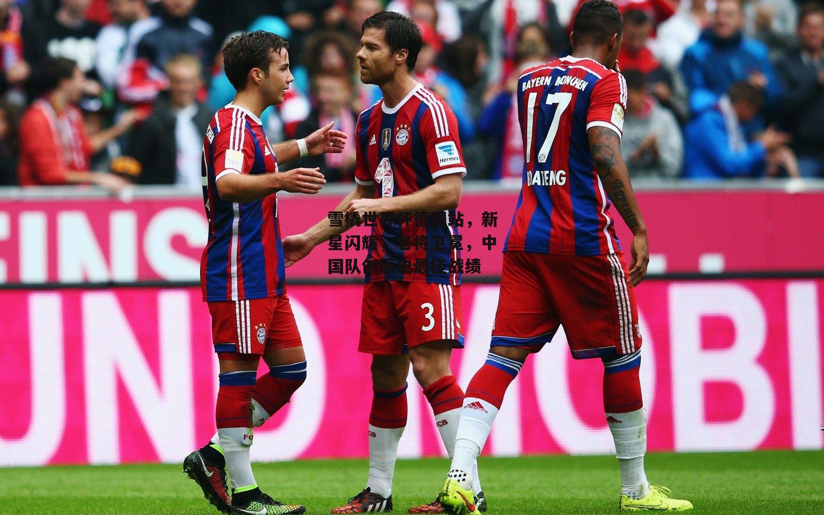 雪橇世界杯德国站,新星闪耀,老将卫冕,中国队创历史最佳战绩