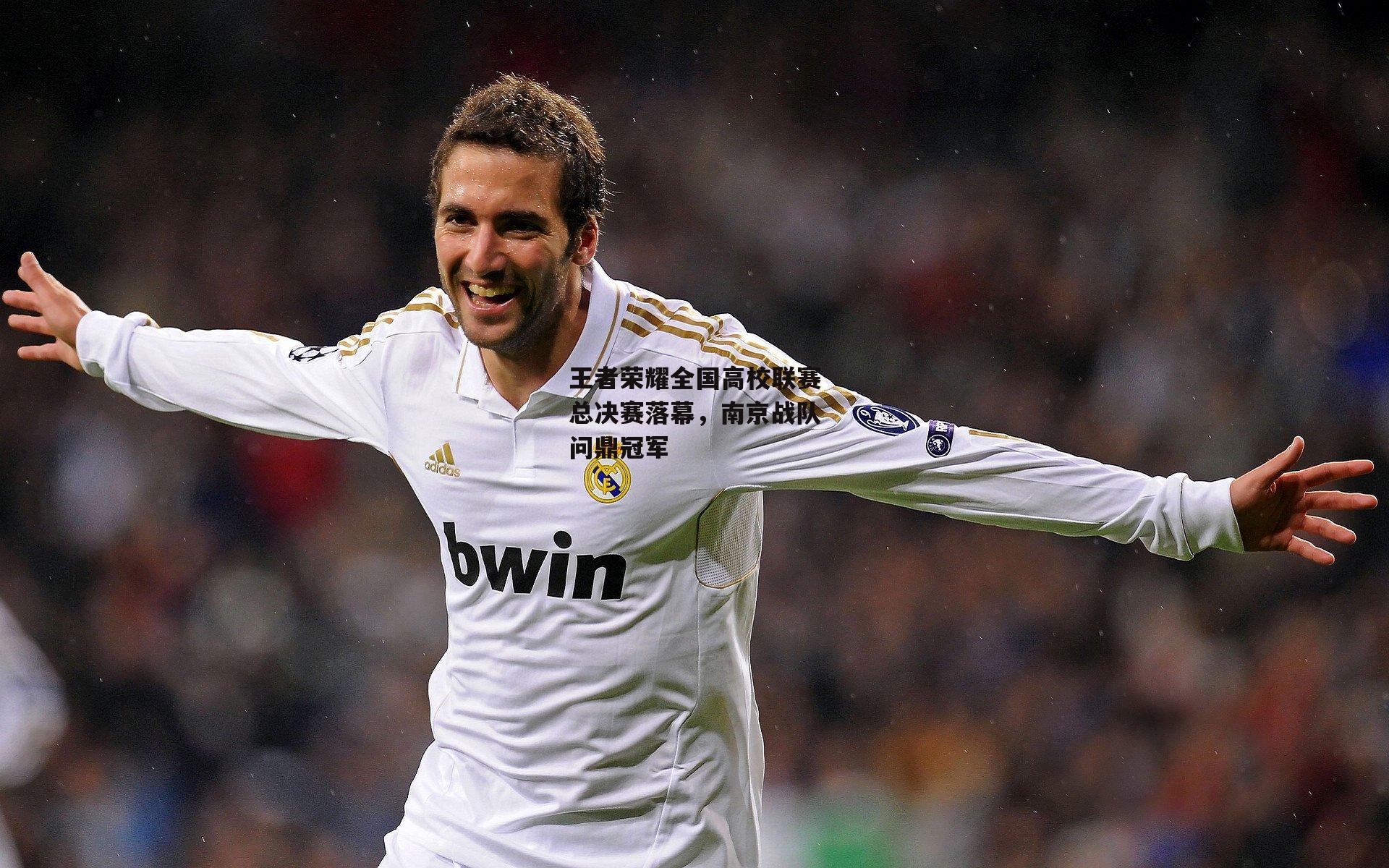 王者荣耀全国高校联赛总决赛落幕，南京战队问鼎冠军