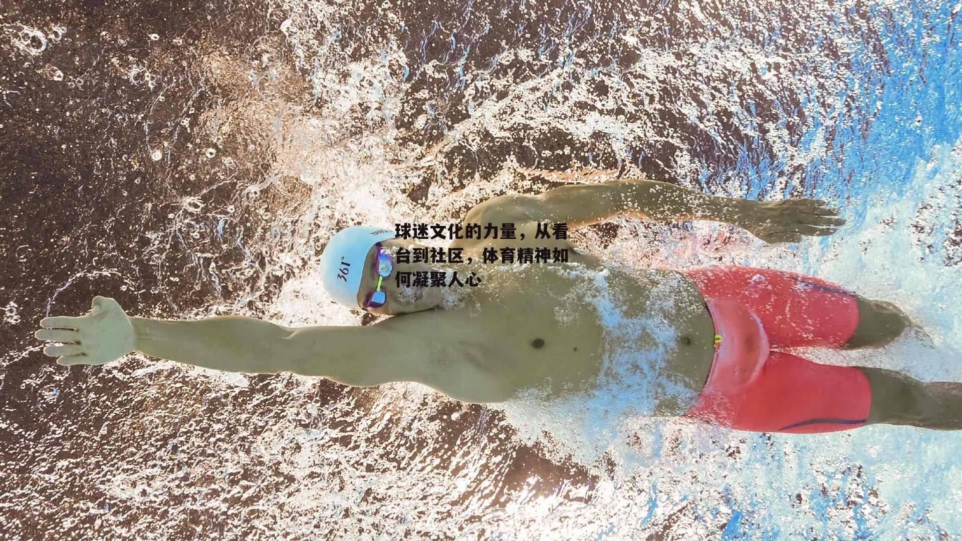 球迷文化的力量，从看台到社区，体育精神如何凝聚人心