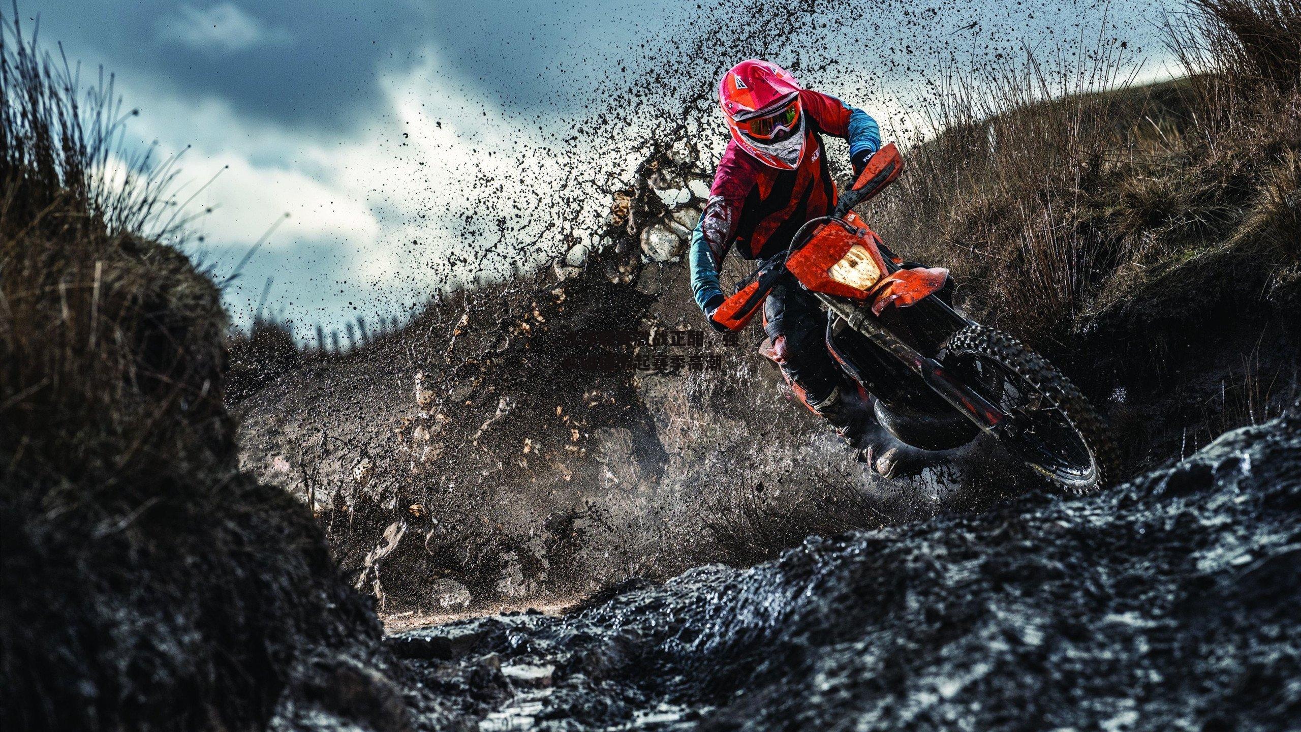 冰球联赛激战正酣,强队碰撞掀起赛季高潮